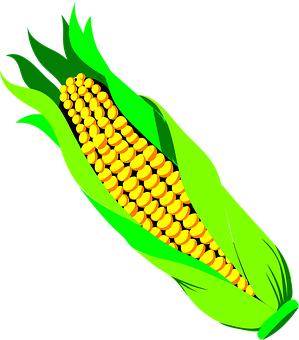 Vibrant Corn Illustration PNG with transparent background