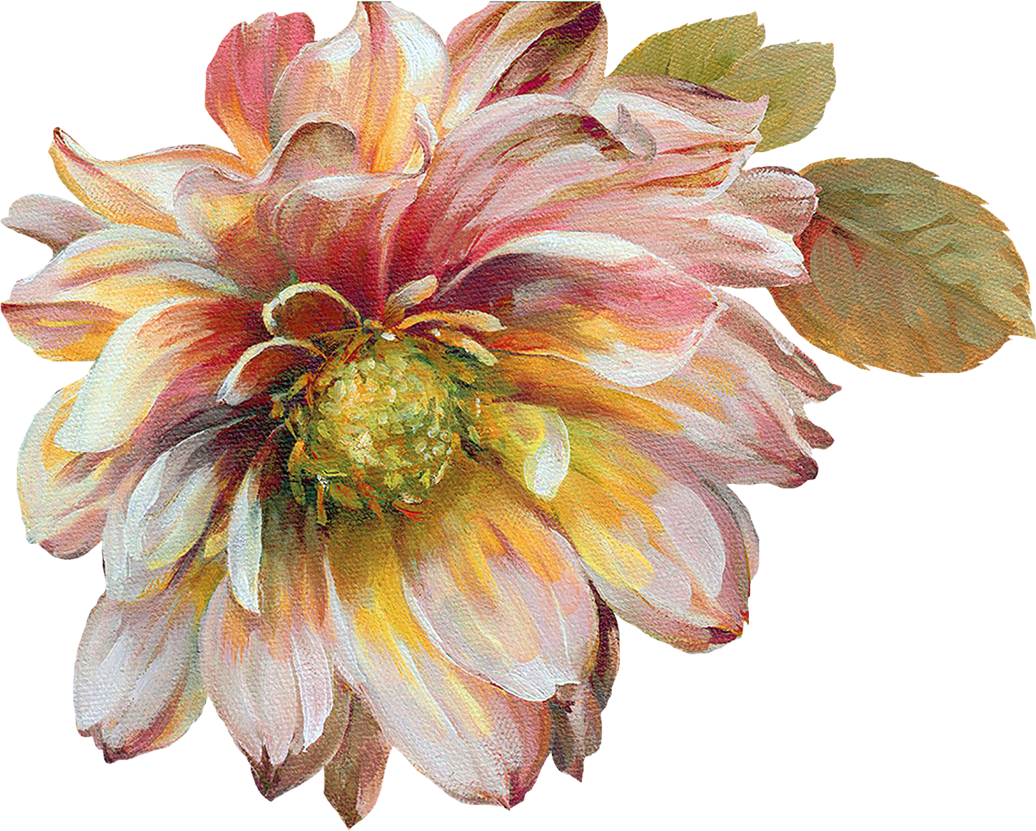 Dahlia Flowers Painted Png, Transparent Png PNG with transparent background