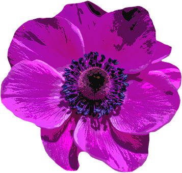 Vibrant Digital Art Poppy PNG with transparent background