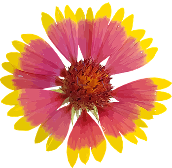 Vibrant Digital Flower Art PNG with transparent background