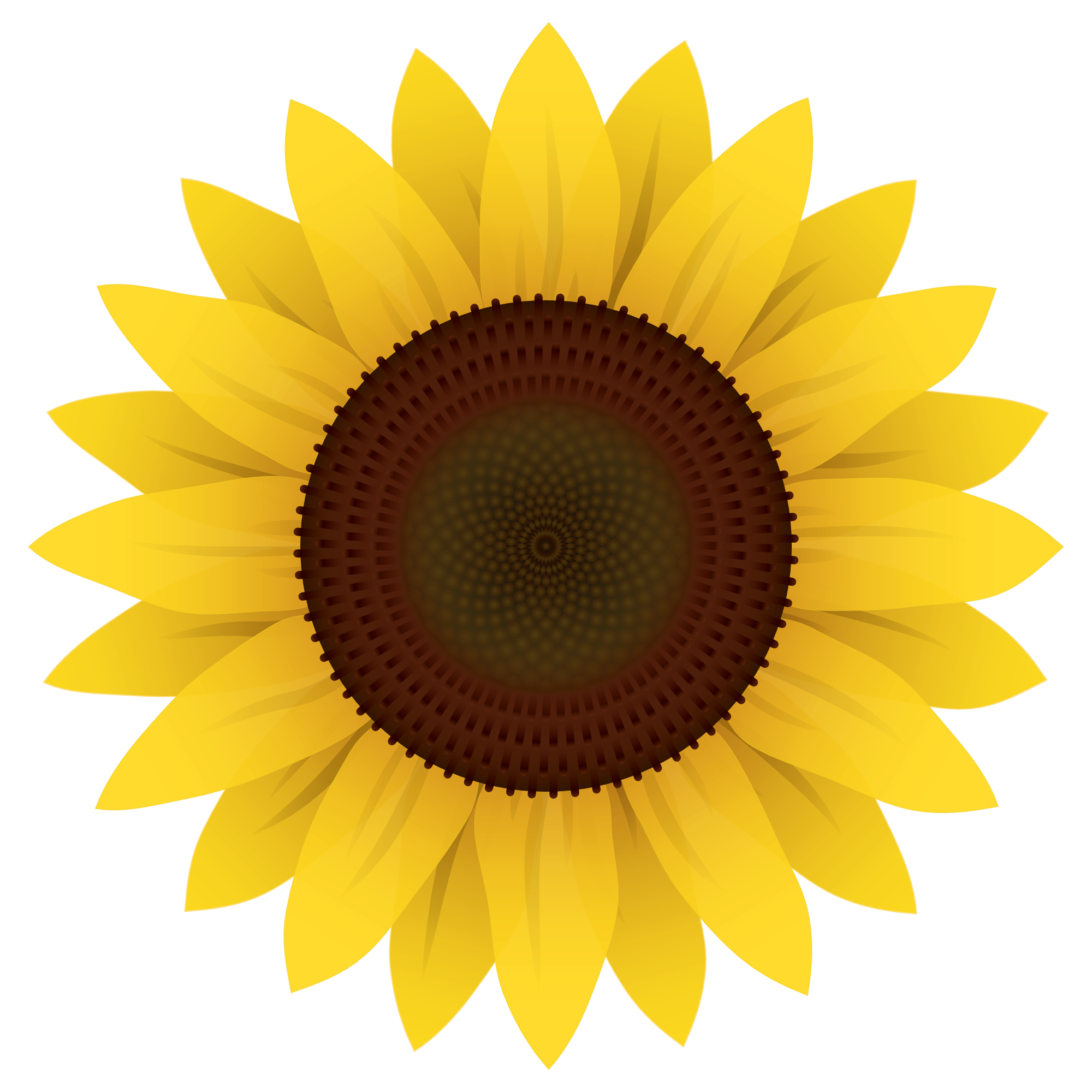 Vibrant Digital Sunflower Art PNG with transparent background