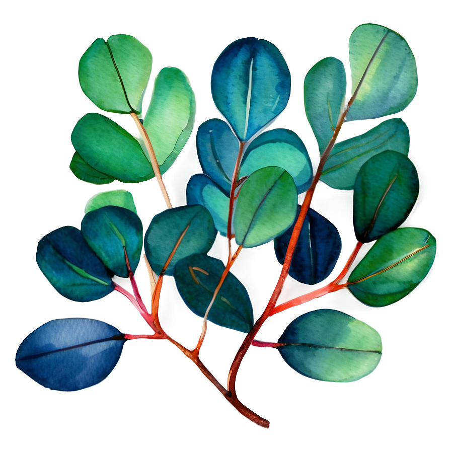 Vibrant Eucalyptus Watercolor Png Ofu