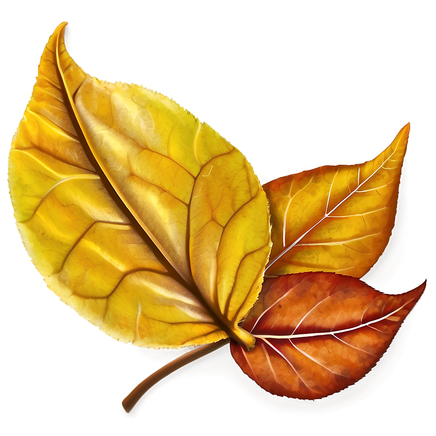 Vibrant Fallen Leaves Closeup Png Htk