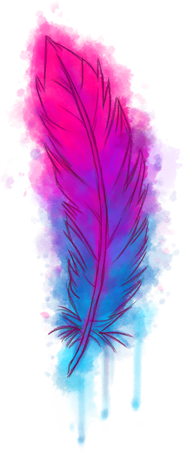 Vibrant_ Feather_ Artwork.png