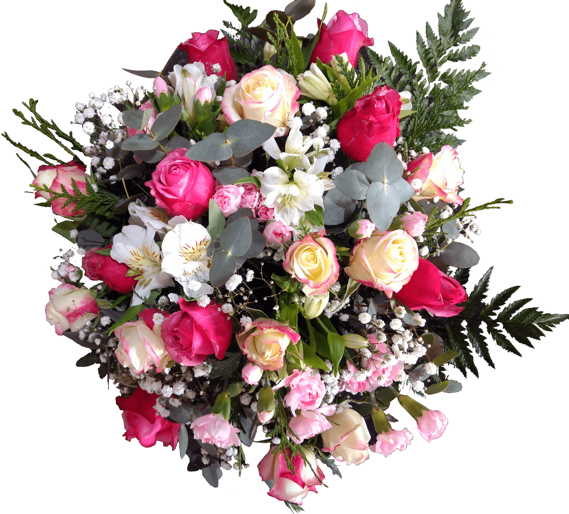 Garden Roses, HD Png Download PNG with transparent background