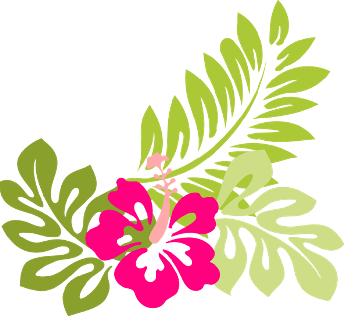 Free Tropical Flowers Cliparts - Hibiscus Clip Art, HD Png Download PNG image with a transparent background, free high-resolution download