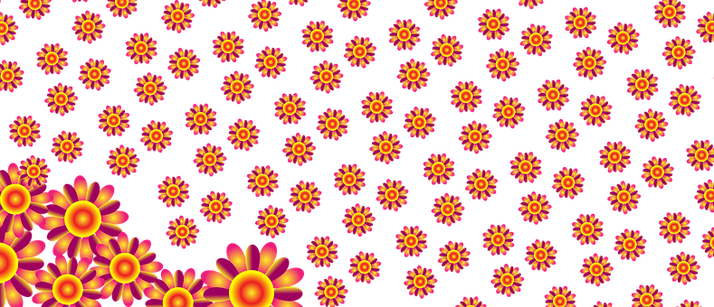 Vibrant Floral Pattern Banner PNG with transparent background