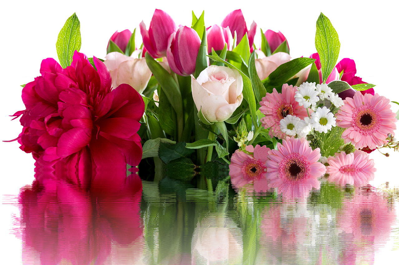 Vibrant Floral Reflections.jpg PNG with transparent background