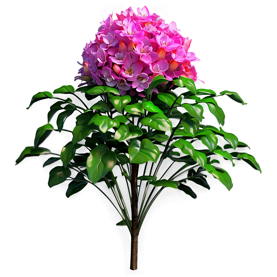 Vibrant Flower Bush Png 41