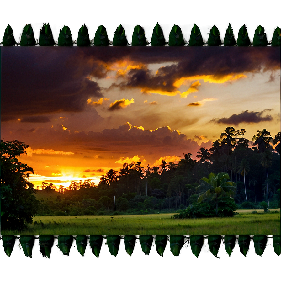 Vibrant Forest Sunset Png Odf99