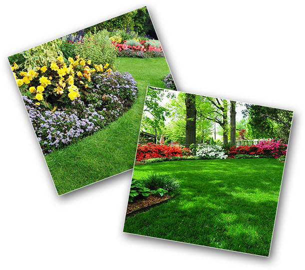 Vibrant_ Garden_ Collage