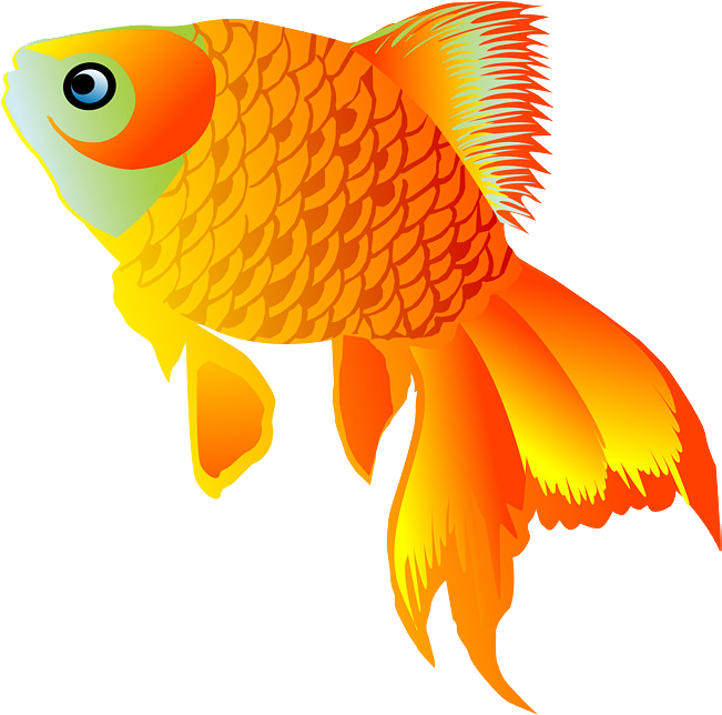 Vibrant Goldfish Illustration