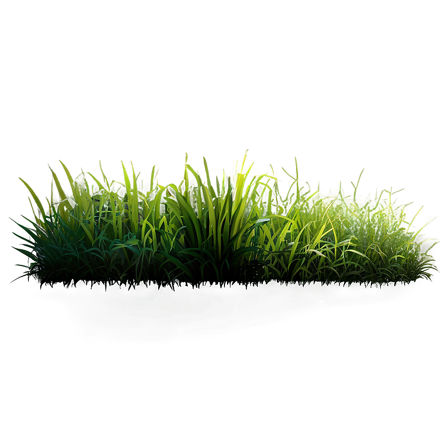 Vibrant Grass Patch Png Vhb