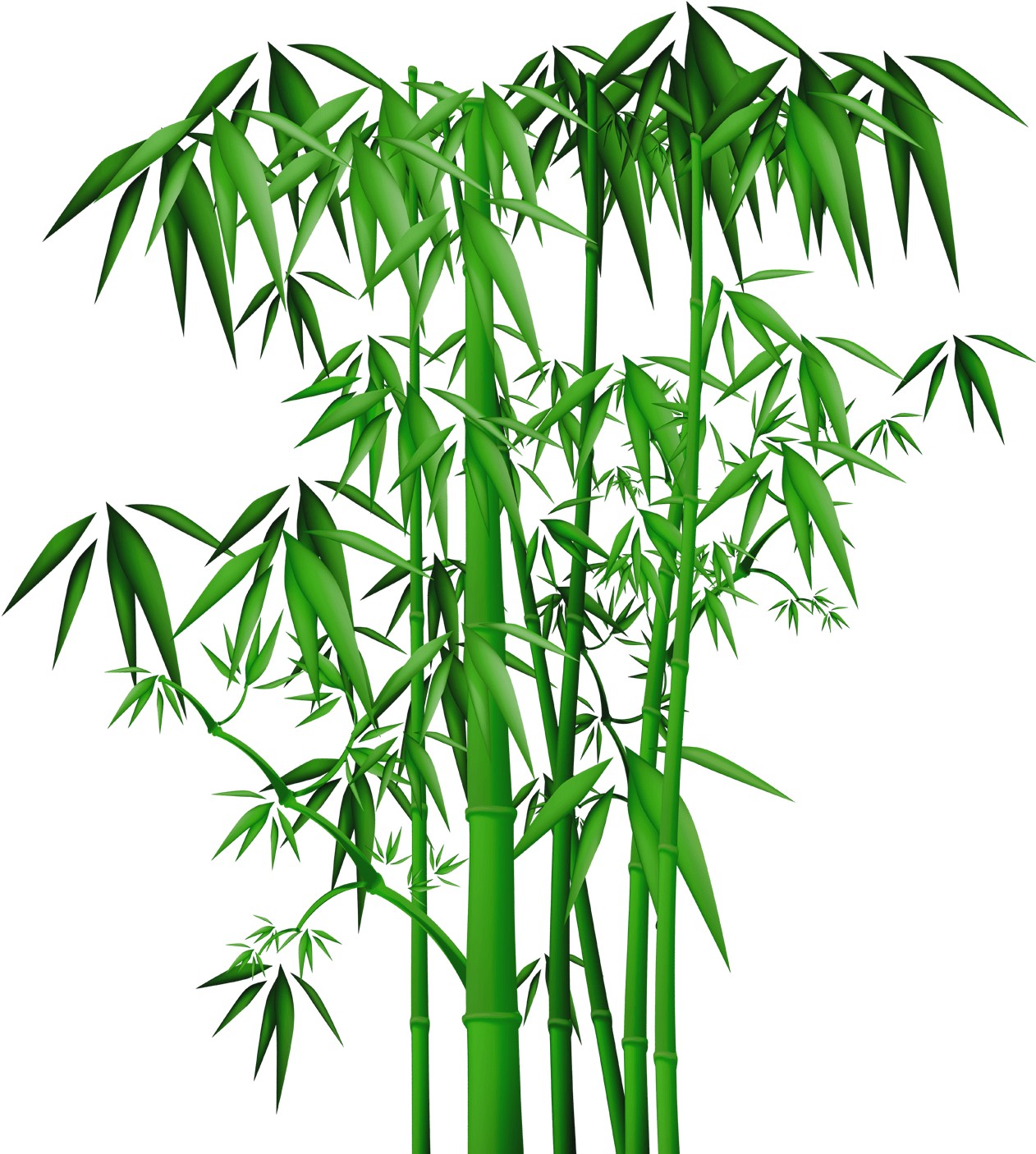 Transparent Black Bamboo Clipart - Chinese Bamboo Png, Png Download PNG with transparent background