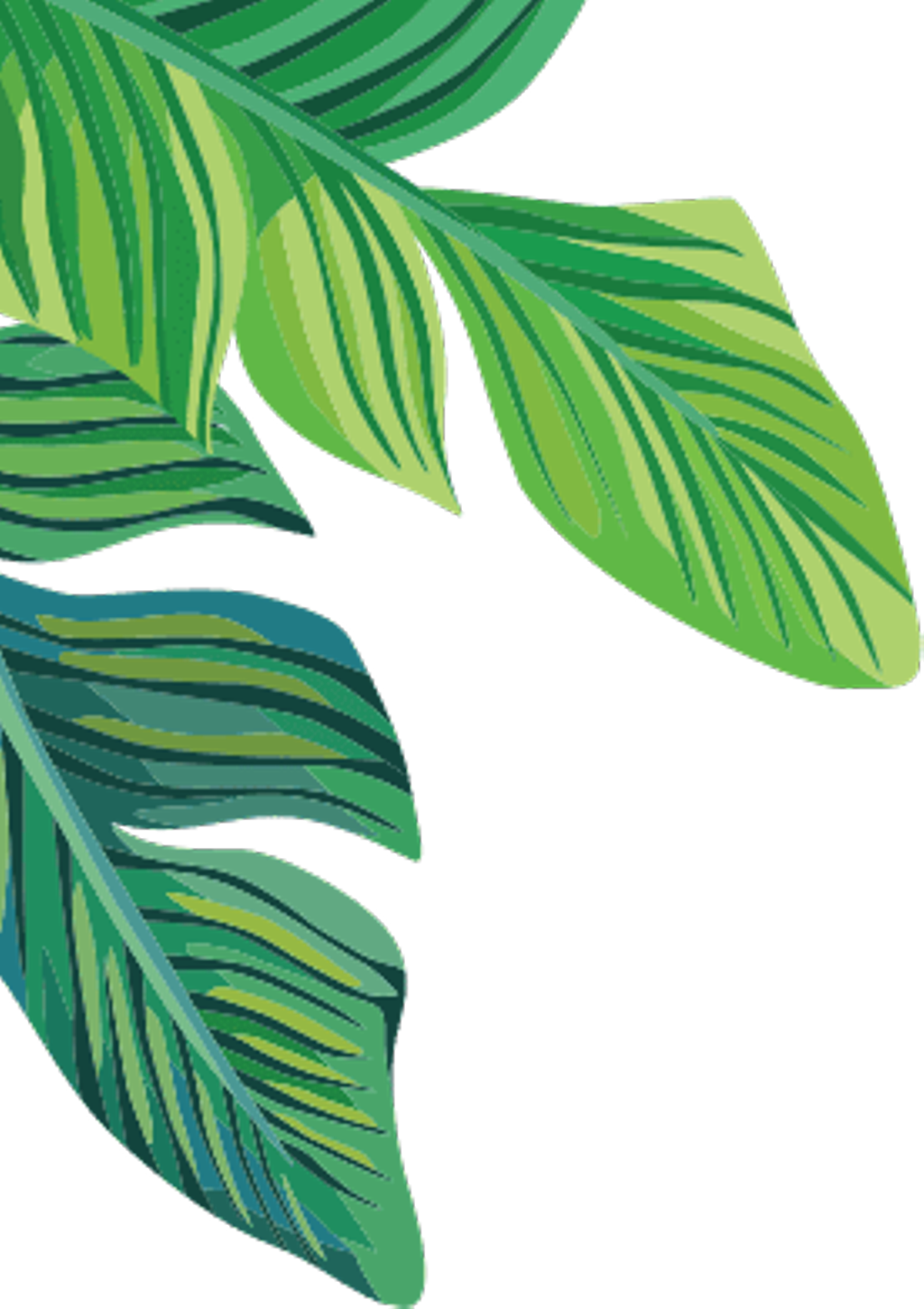 Vibrant Green Banana Leaves Illustration