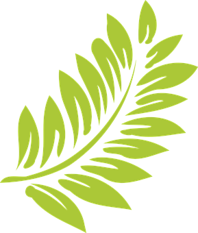 Vibrant Green Fern Leaf Graphic PNG with transparent background
