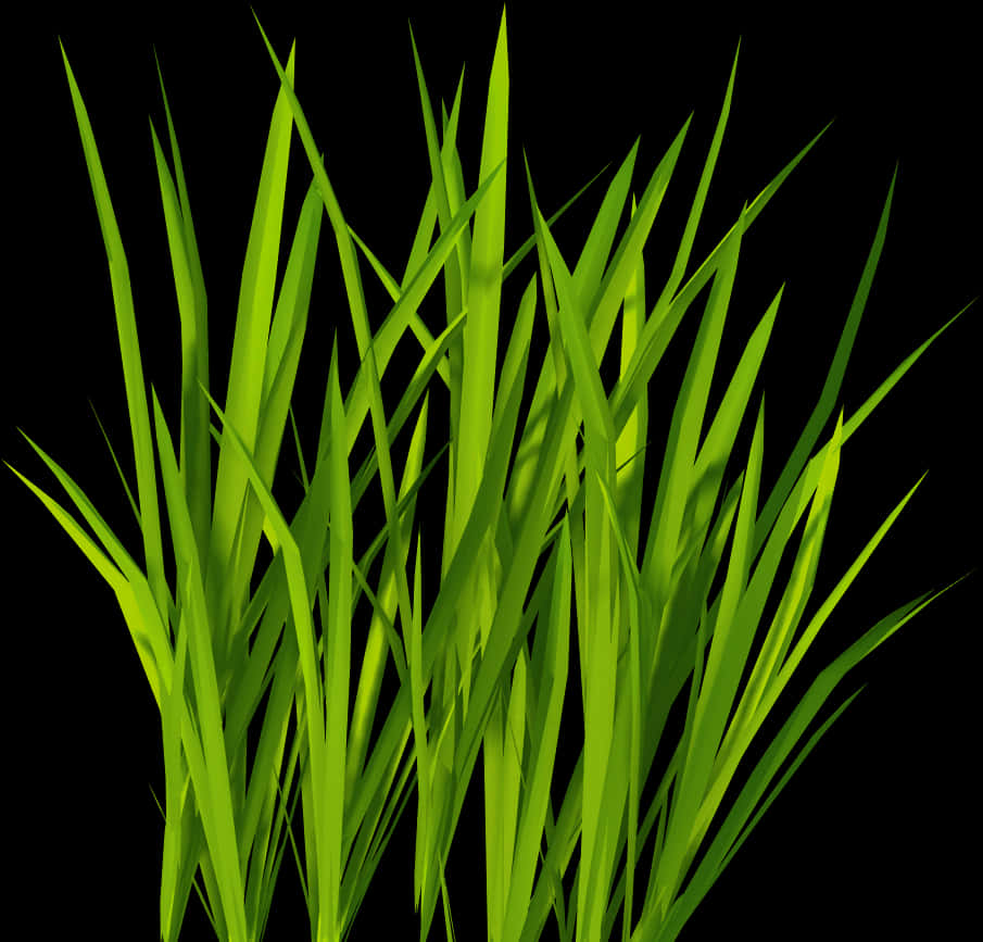 Vibrant Green Grass Black Background