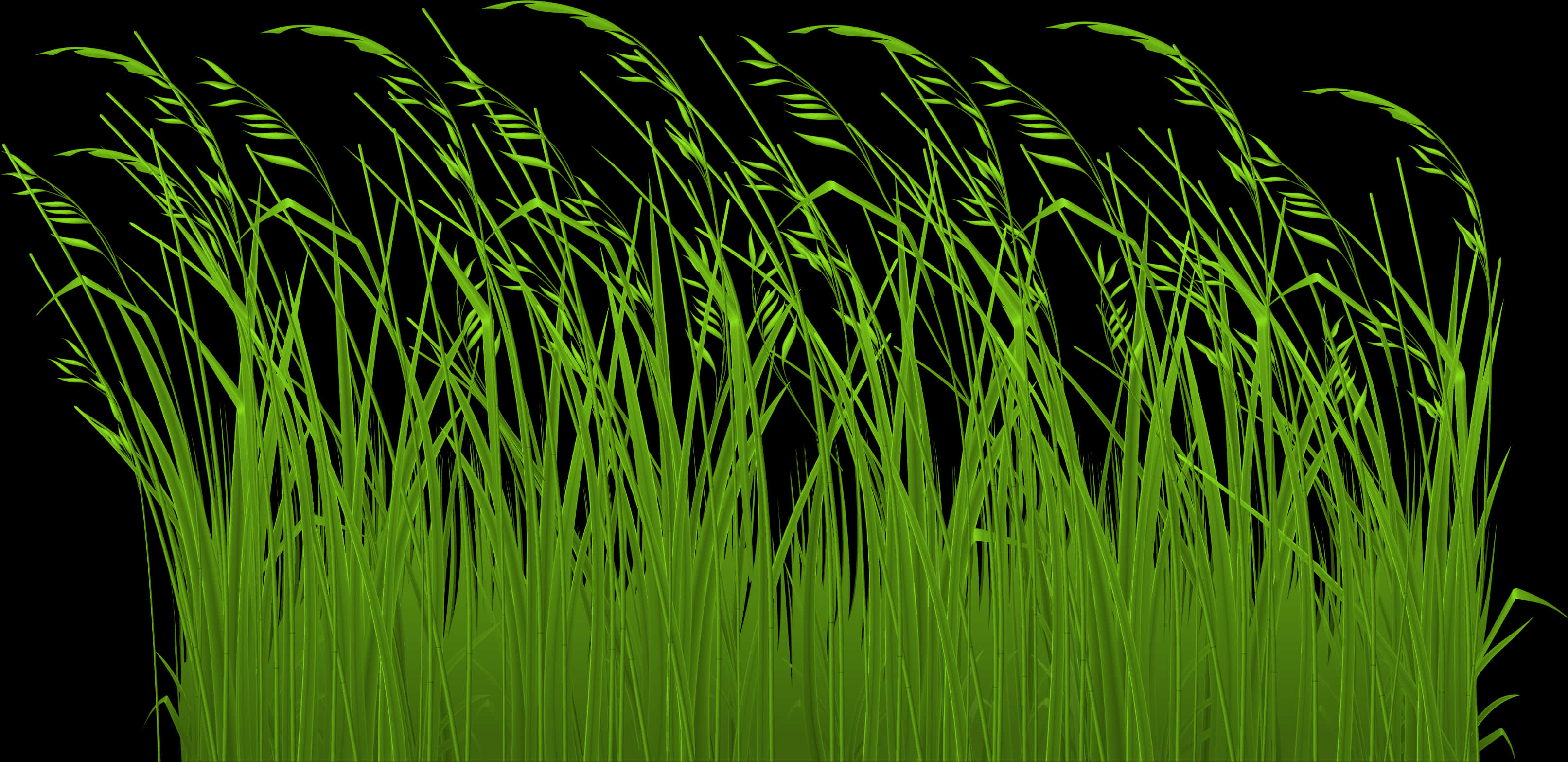 Vibrant Green Grass Blades Black Background