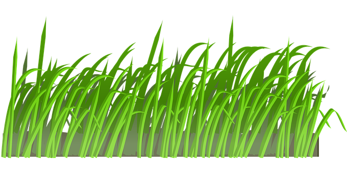 Vibrant Green Grass Illustration PNG with transparent background