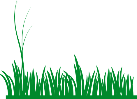 Vibrant Green Grass Silhouette PNG with transparent background