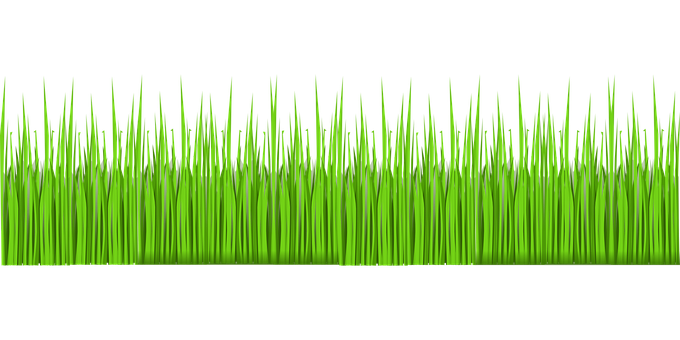 Vibrant Green Grass Texture PNG with transparent background