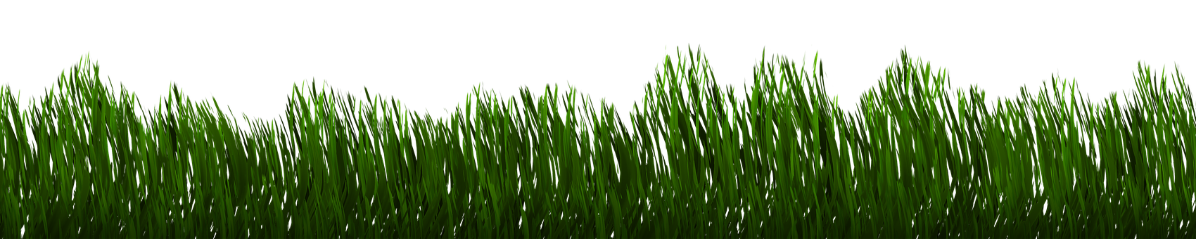 Vibrant Green Grass Texture PNG with transparent background