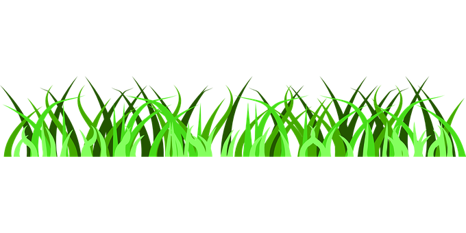 Vibrant Green Grass Vector PNG with transparent background