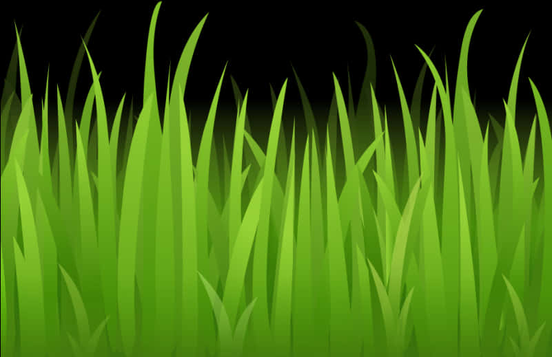 Vibrant Green Grass Vector