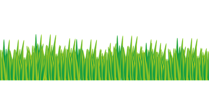 Vibrant Green Grass Vector PNG with transparent background