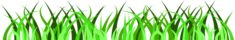 Vibrant Green Grass Vector PNG with transparent background
