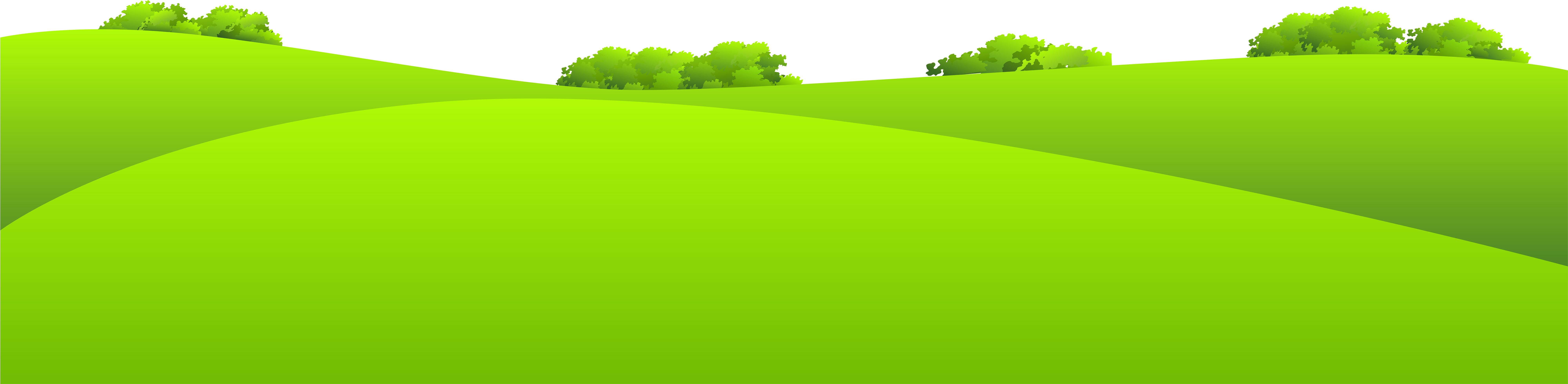 Vibrant Green Hills Meadow