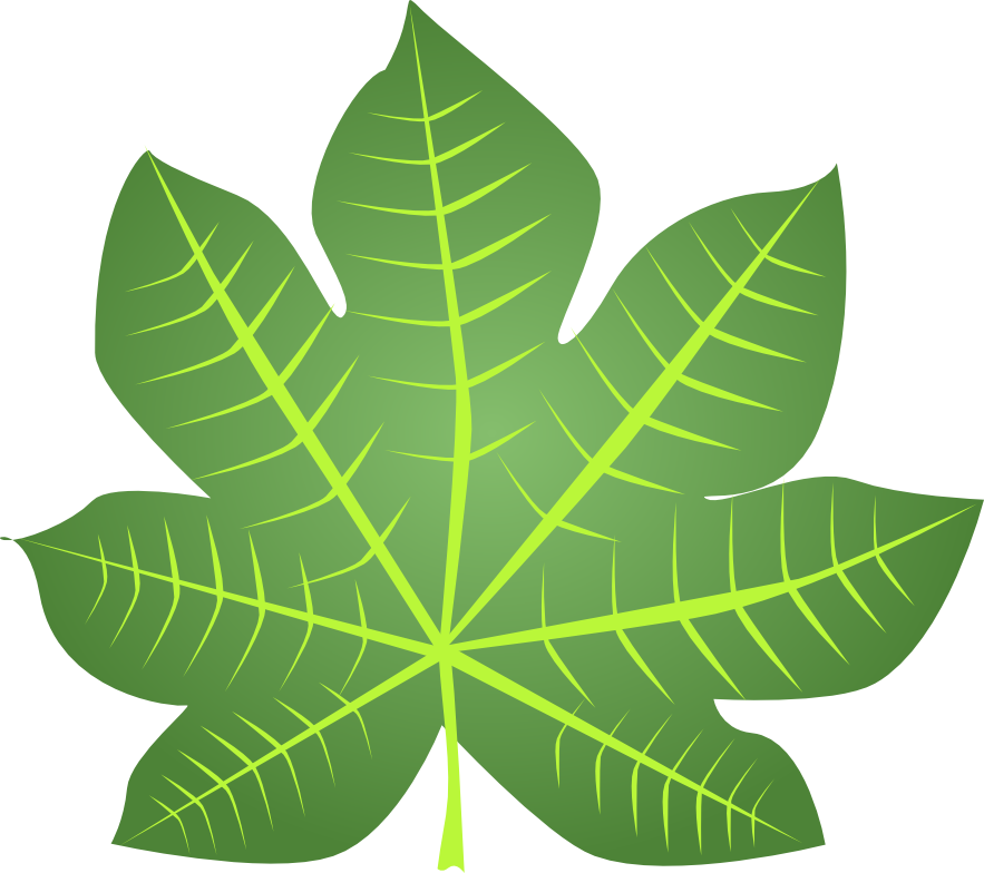 Transparent Daun Png, Png Download PNG with transparent background