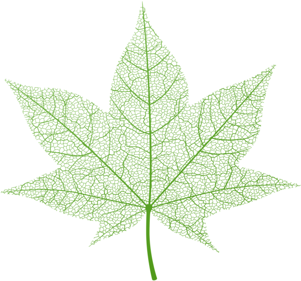 Vibrant Green Leaf Vector