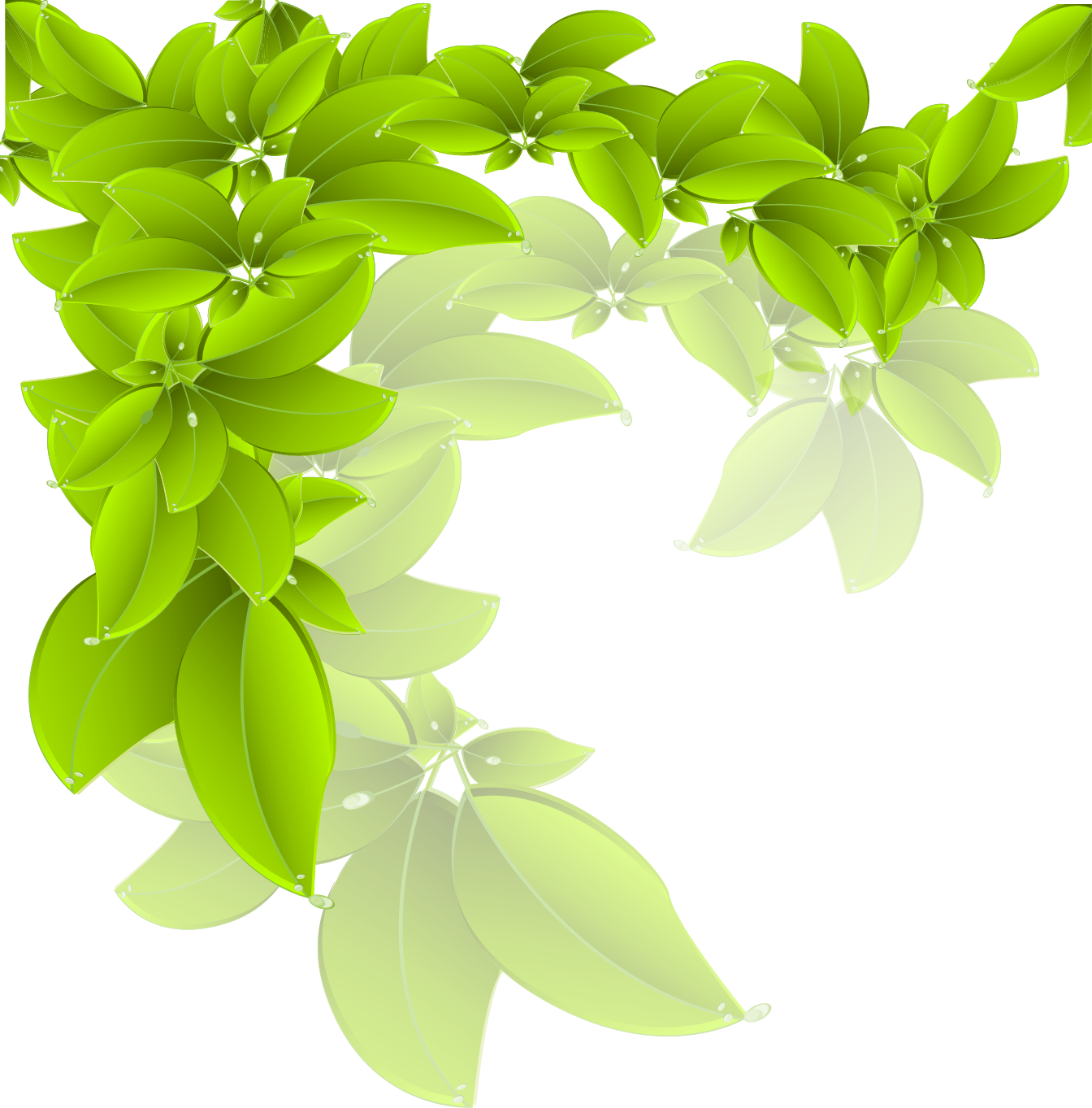 Vibrant Green Leaves Vector