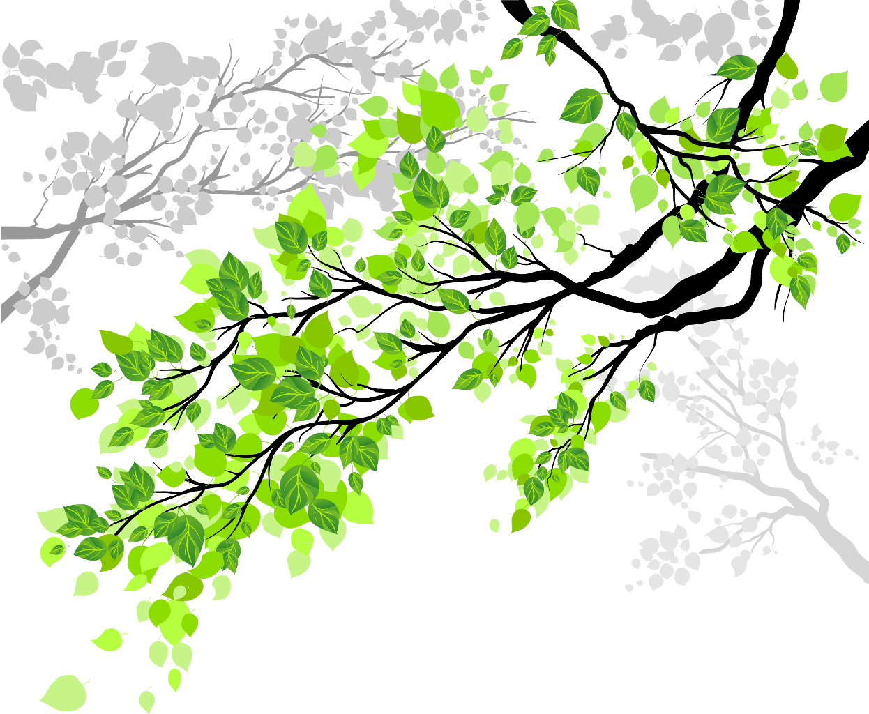 Vibrant Green Leaveson Branches PNG with transparent background