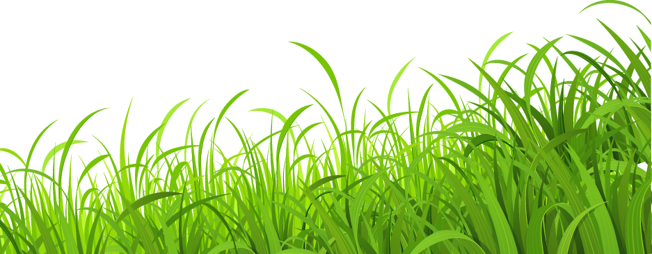 Vibrant_ Green_ Meadow_ Grass