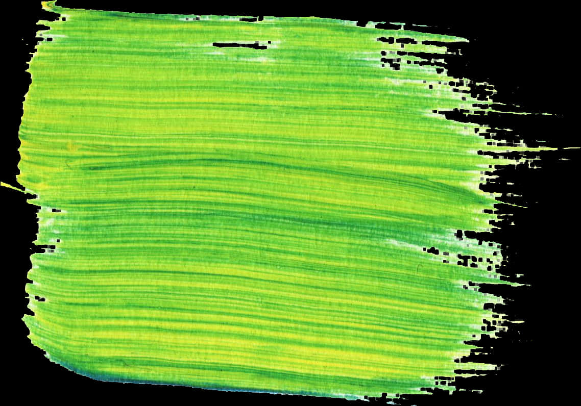 Vibrant Green Paint Brush Stroke PNG image with a transparent background, free high-resolution download