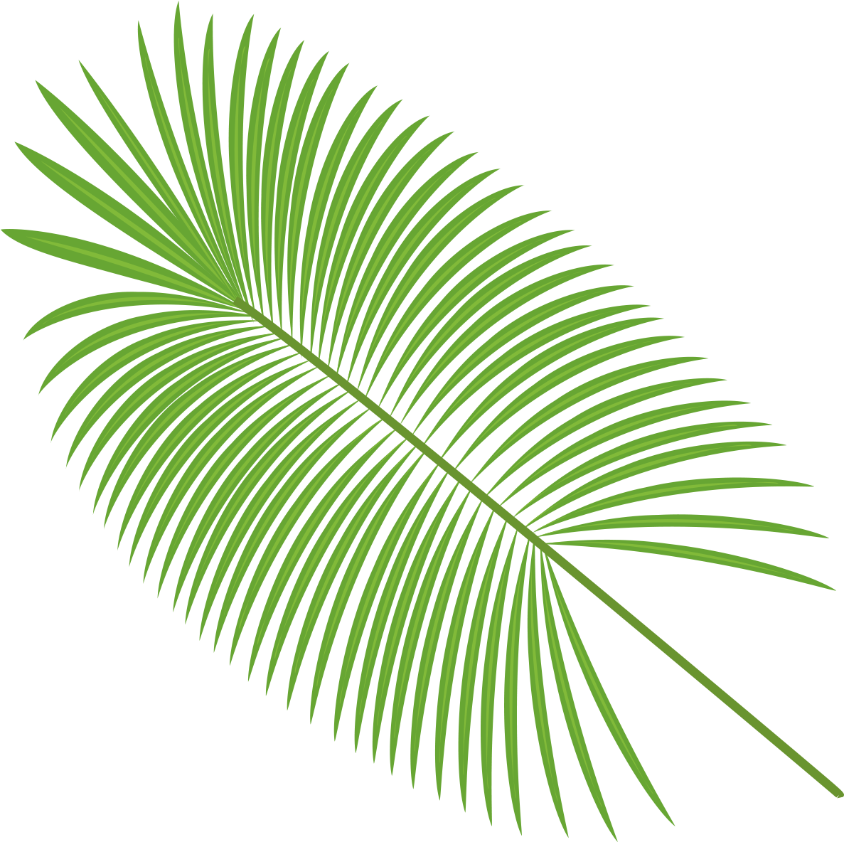 Palm Leaves Vector Material Png Download - Transparent Background Palm Leaf Png, Png Download PNG with transparent background