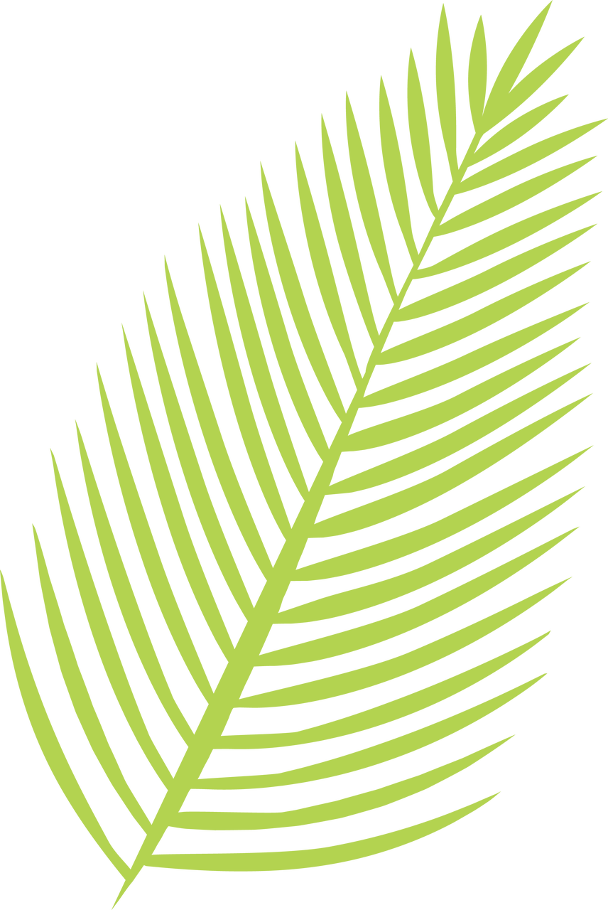 Palm Leaf Svg Cut File - Palm Leaves Svg, HD Png Download PNG with transparent background