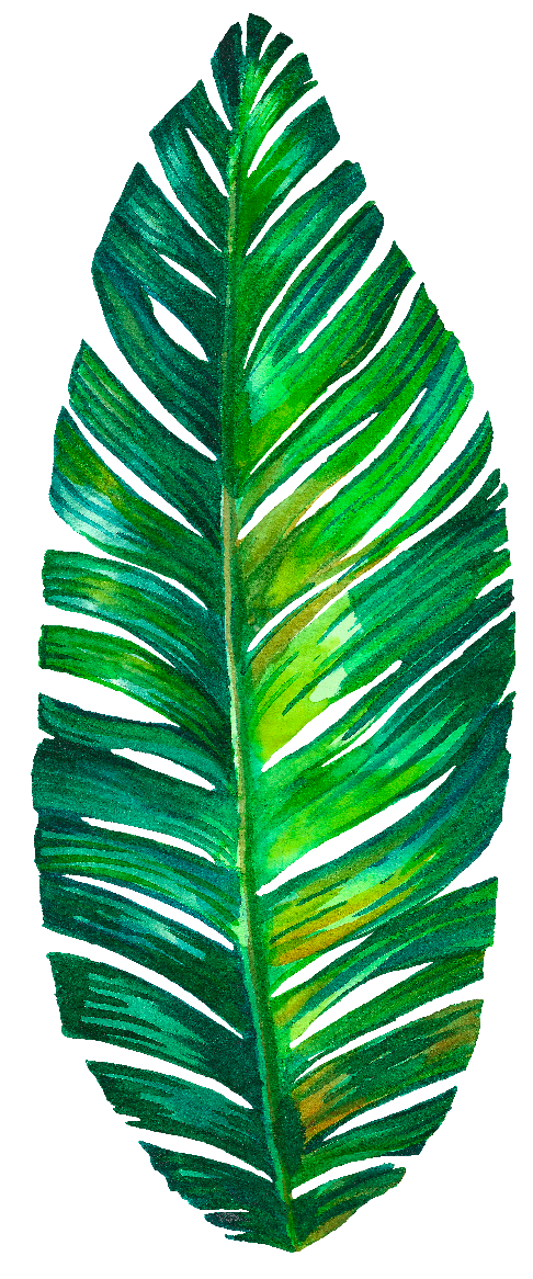 Vibrant Green Palm Leaf Illustration.png