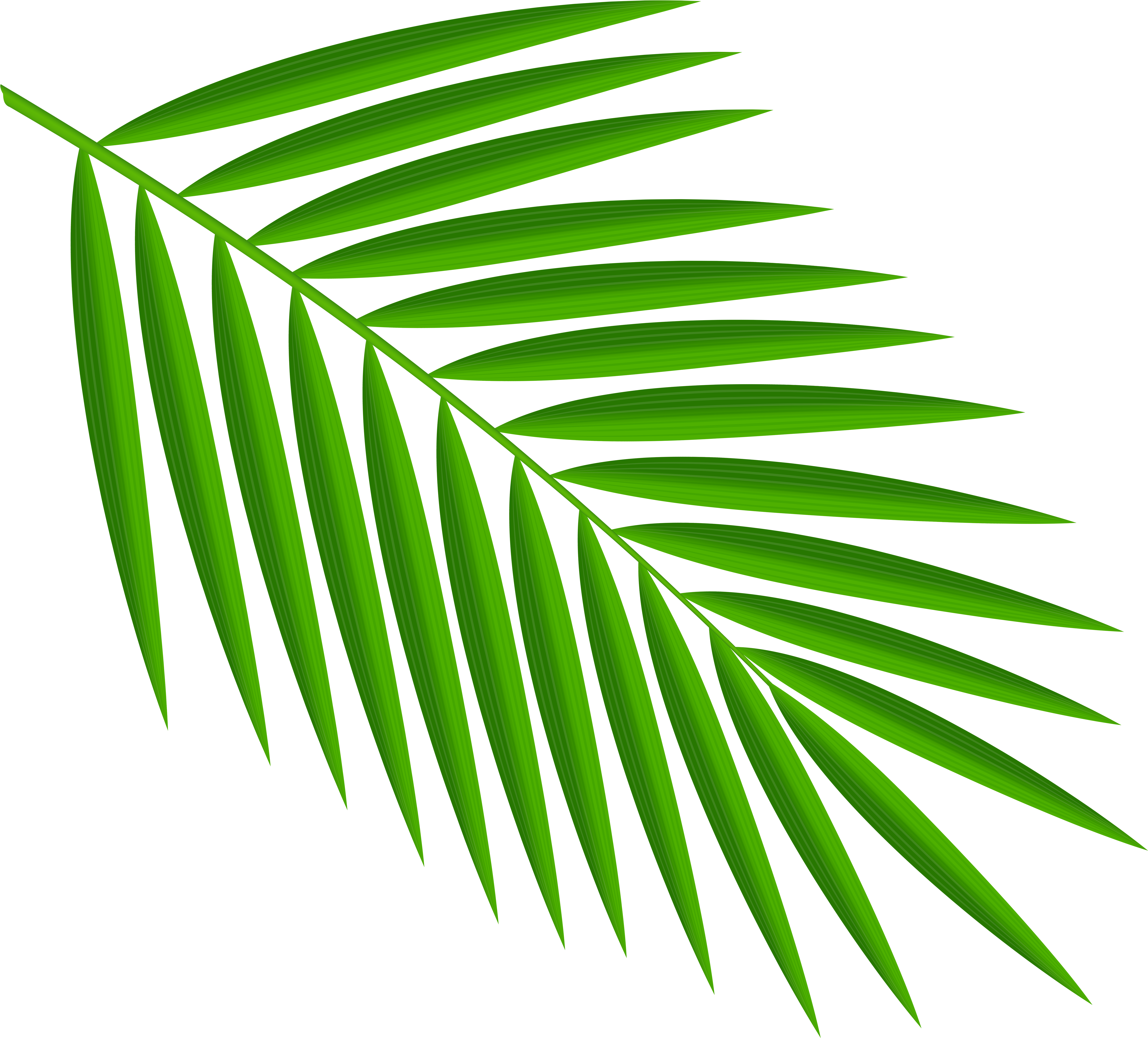 Green Palm Leaves Png Clipart - Palm Leaf Clipart Png, Transparent Png PNG with transparent background