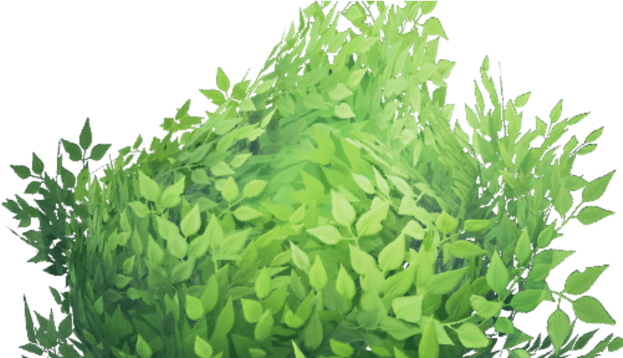 Vibrant Green Shrubbery