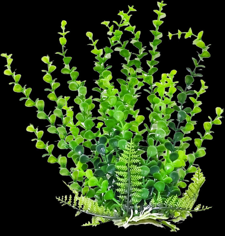 Vibrant Green Succulent Cluster.jpg