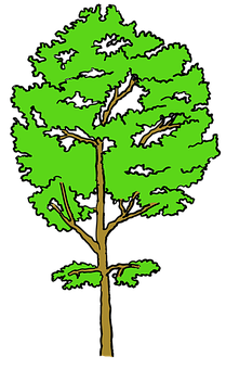 Vibrant Green Tree Illustration