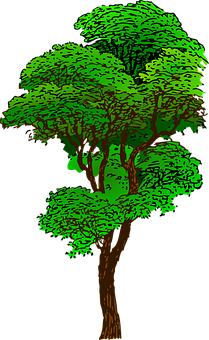 Vibrant Green Tree Illustration