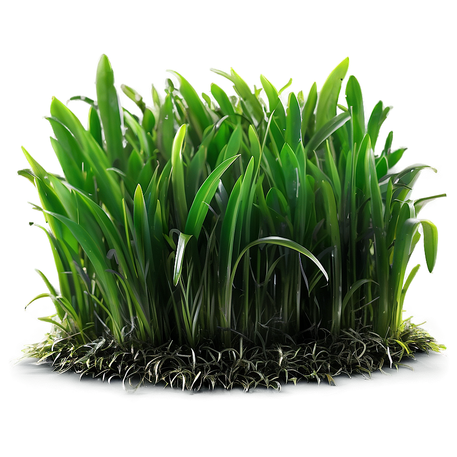 Vibrant Green Turf Grass Png Whv