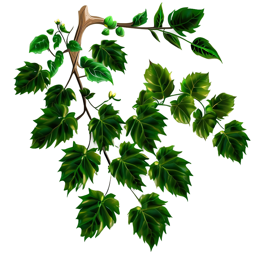Vibrant Green Vine Leaves PNG with transparent background