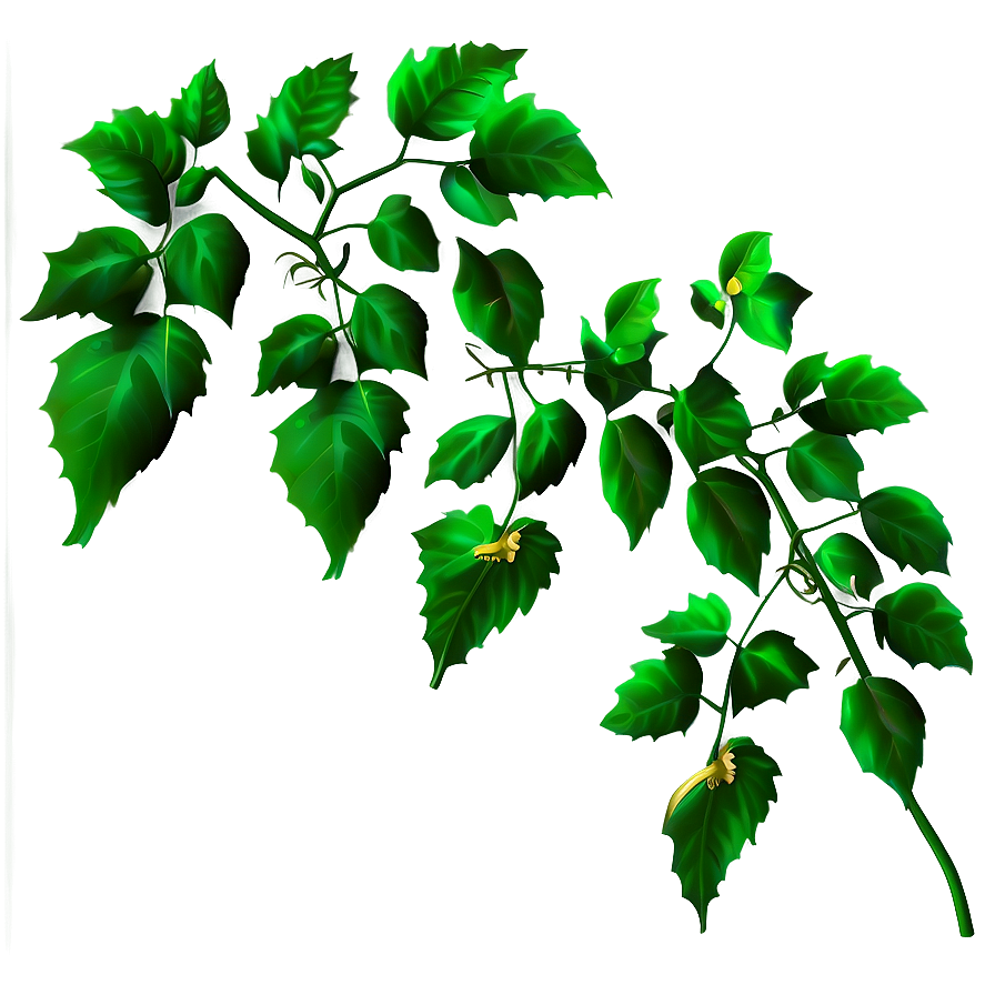 Vibrant Green Vine Leaves PNG with transparent background