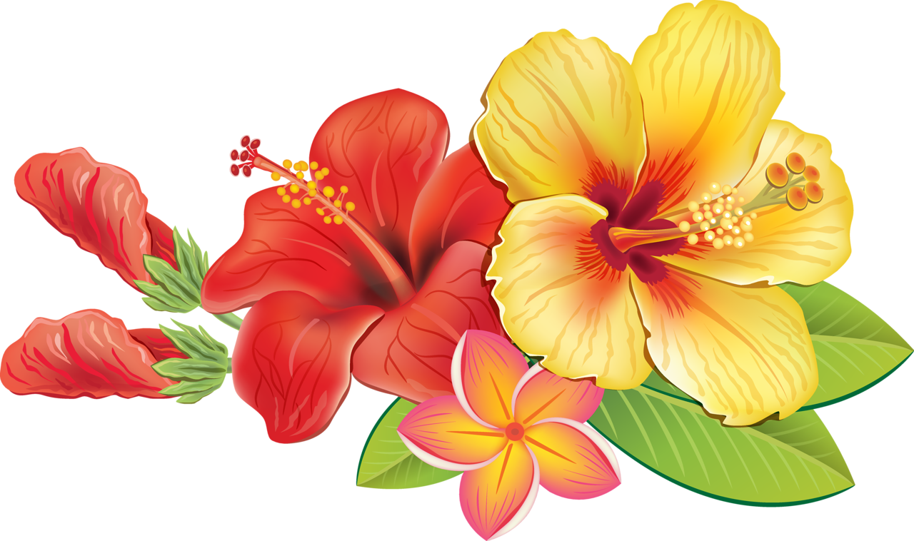 Vibrant_ Hawaiian_ Flowers_ Illustration