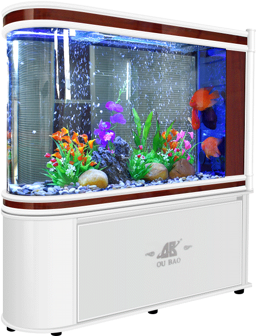 Vibrant Home Aquarium